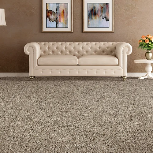 Carpets Galore providing stain-resistant pet proof carpet in Las Vegas, NV